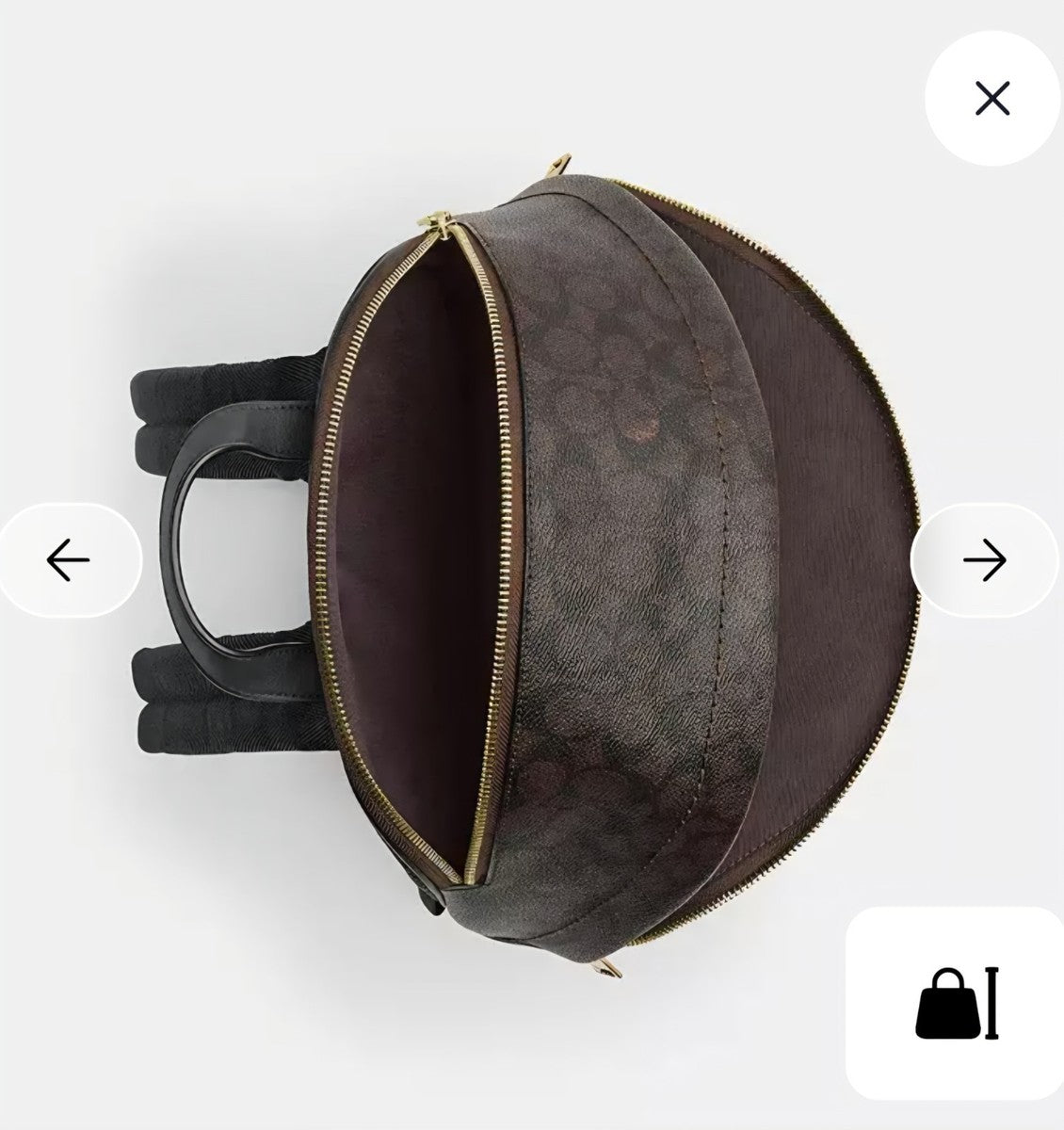 Coach Taylor Small Backpack In Signature Canvas