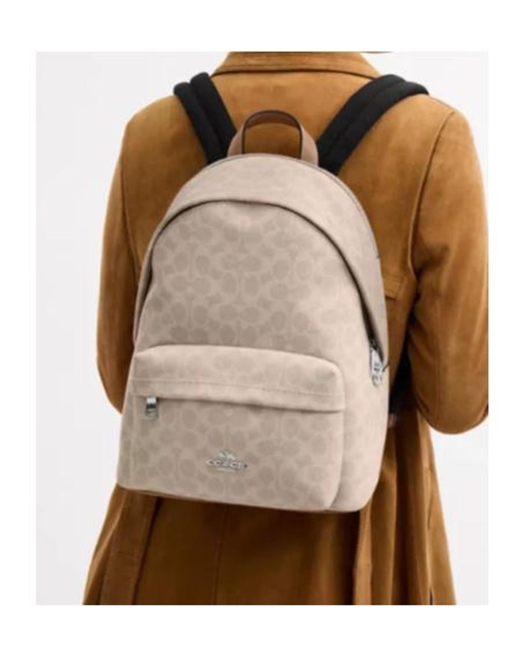 Coach Taylor Small Backpack In Signature Canvas