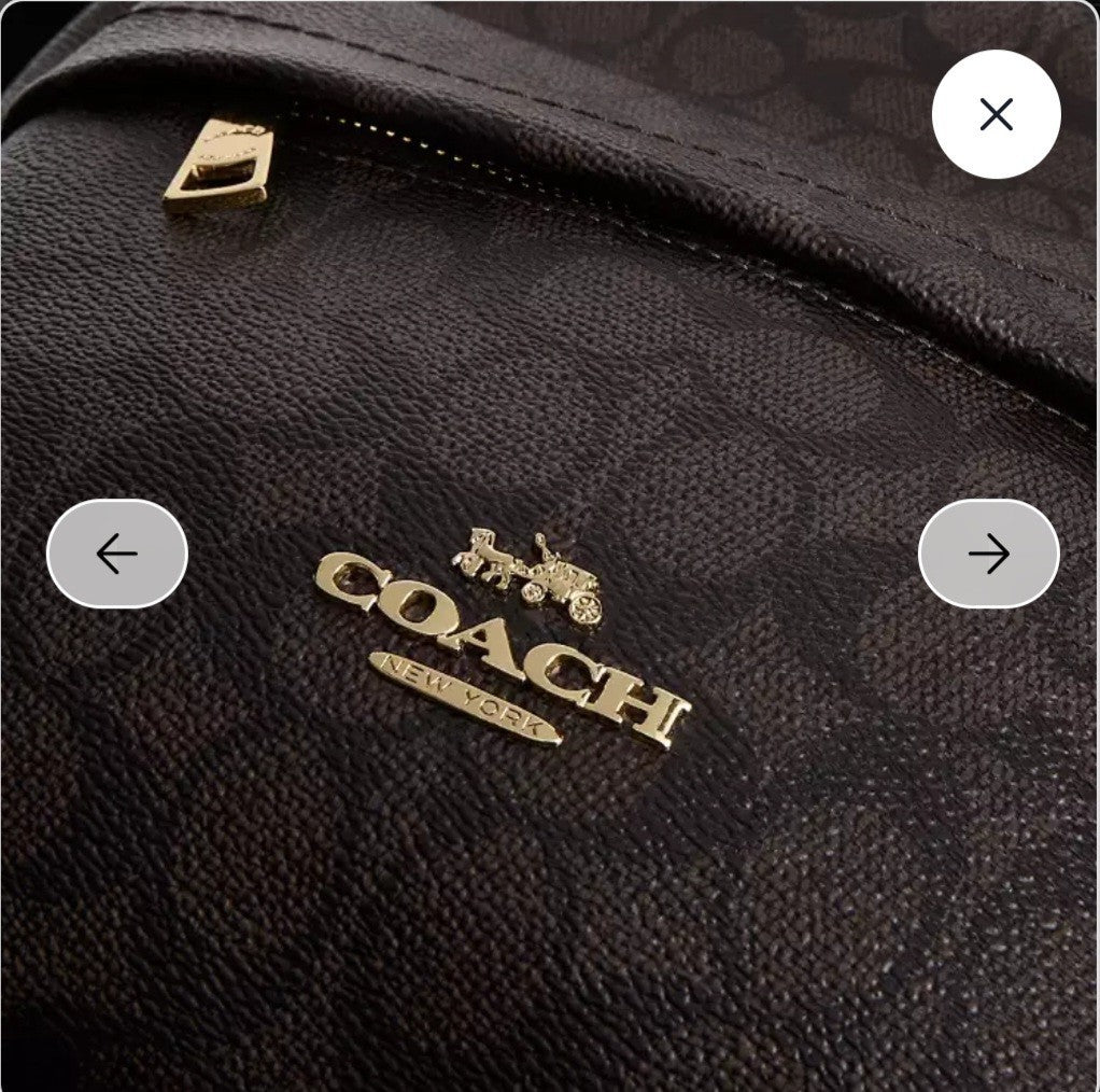 Coach Taylor Small Backpack In Signature Canvas