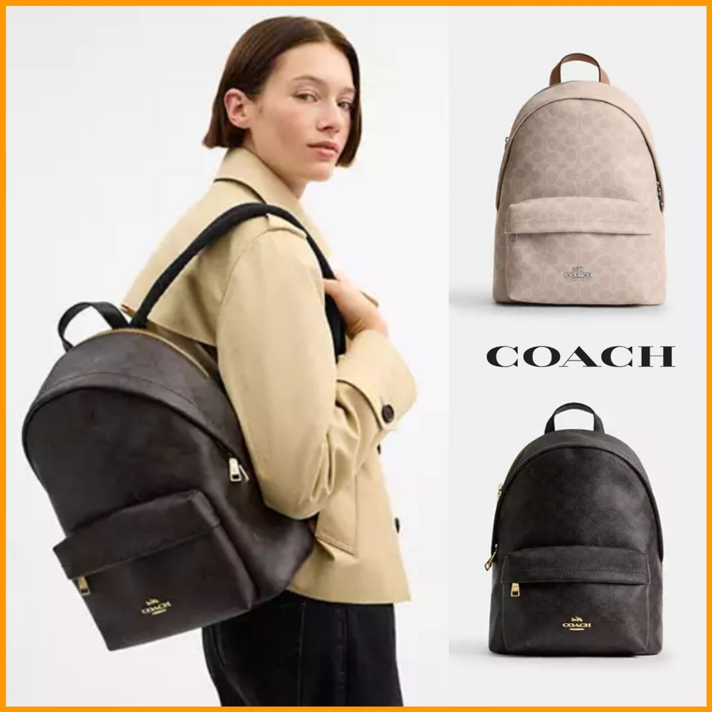 Coach Taylor Small Backpack In Signature Canvas