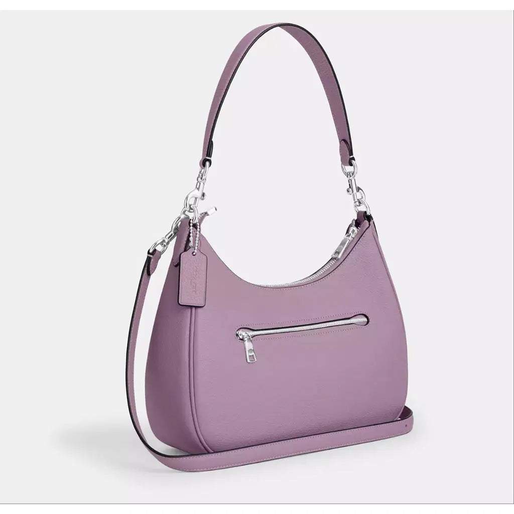 Coach Teri Hobo Bag With Dual Strap