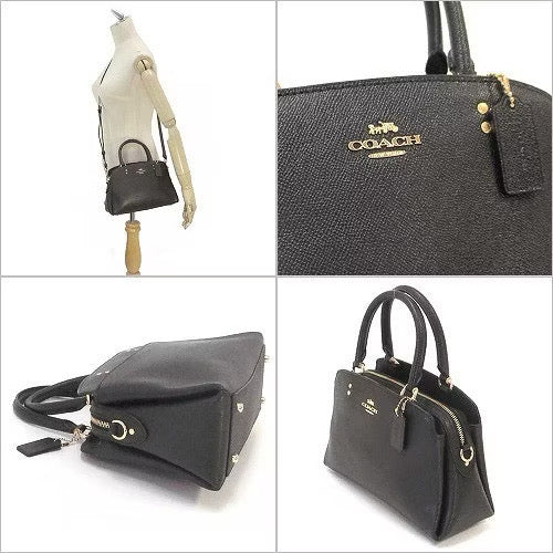 COACH Carryall Mercer Mini Lily Grain Leather Satchel